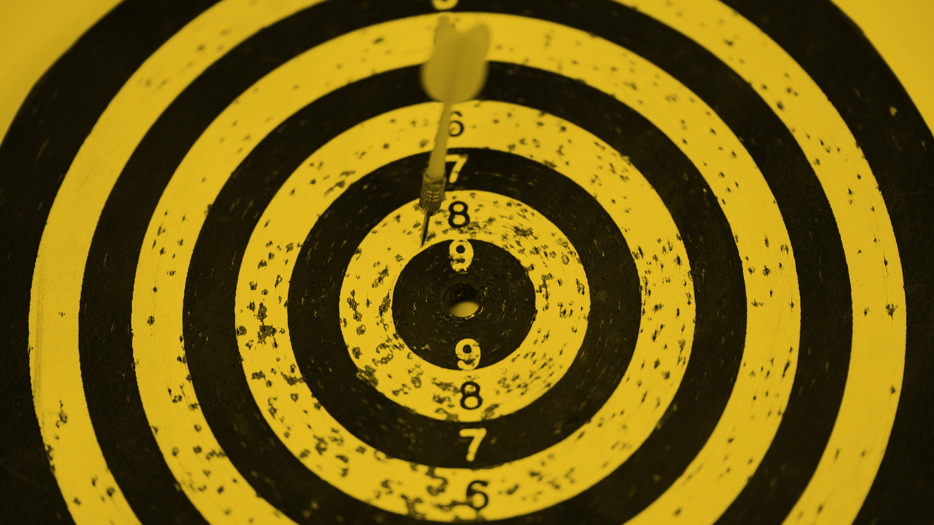 Target Market: 5 Steps to Identify and Reach Yours